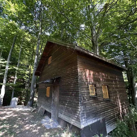 샬레 Vikendica Forest, 체니카