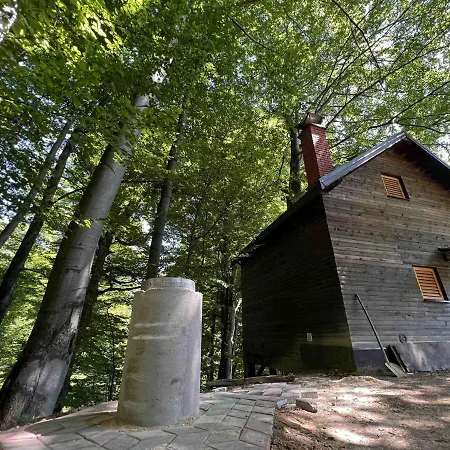 샬레 Vikendica Forest,