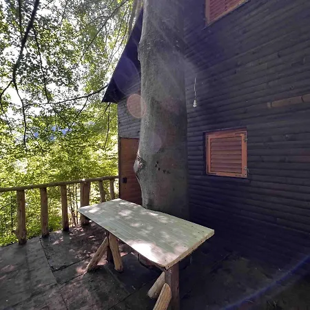 Vikendica Forest, * 체니카