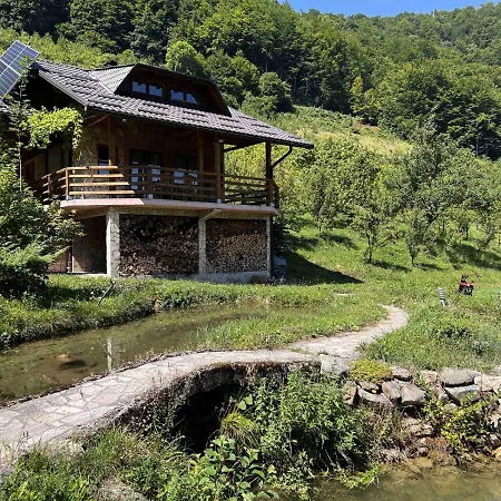 Vikendica Forest, 체니카